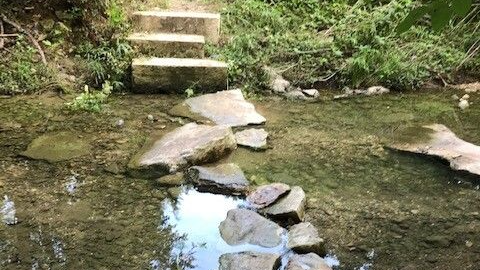 West Bouldin Creek Greenbelt Maintenance 12-11-2021